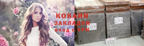 бошки Ельня