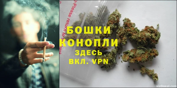 бошки Ельня