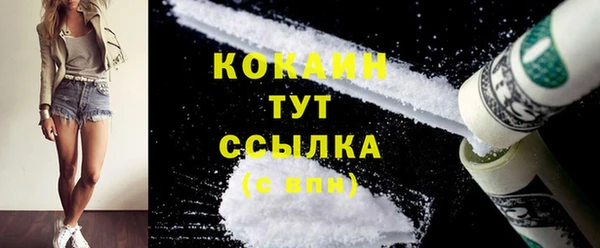 ECSTASY Елизово
