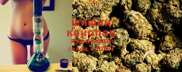 ECSTASY Елизово
