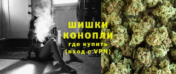 бошки Ельня