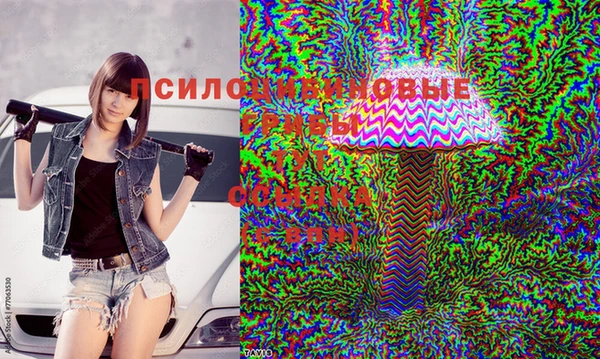 ECSTASY Елизово
