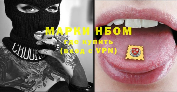 ECSTASY Елизово