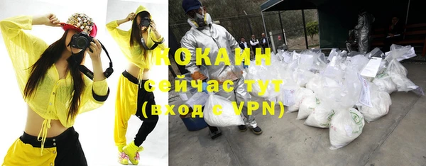 бошки Ельня